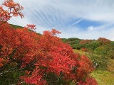 木曽御嶽山の紅葉