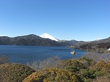 恩賜箱根公園からの富士山