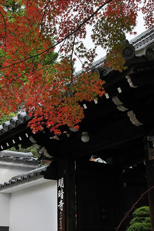 京都明暗寺